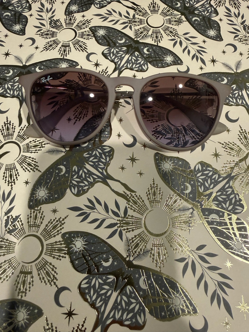 Ray-Ban Erika Sunglasses